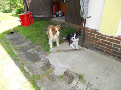 Foto 18